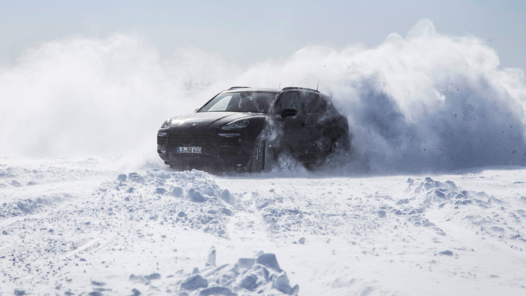 Cayenne Testing (1)