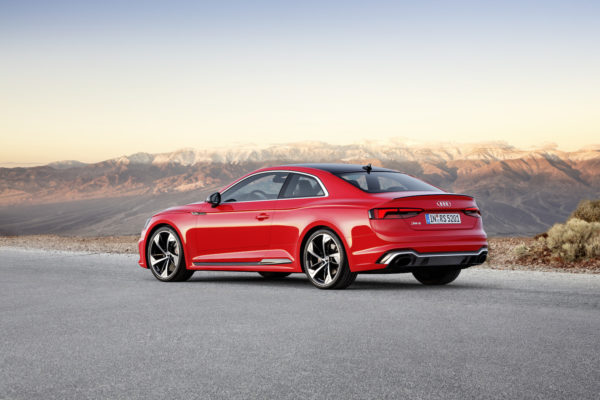 RS5 (19)