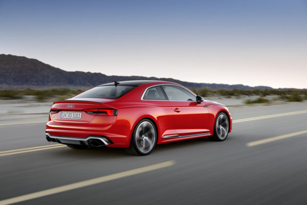 RS5 (22)