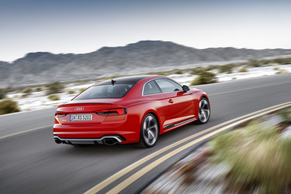 RS5 (23)