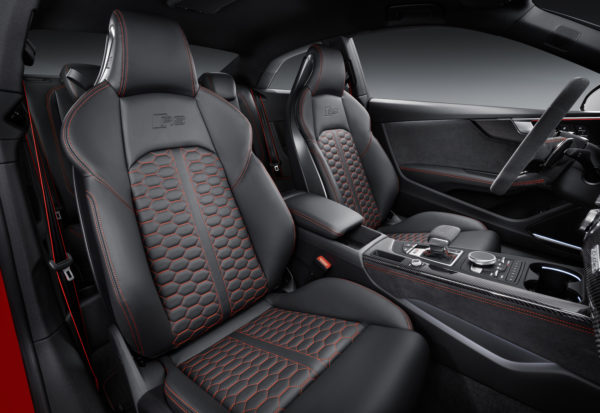RS5 (33)