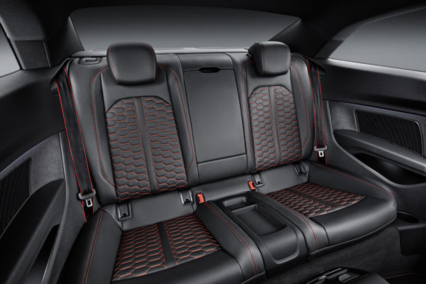 RS5 (34)