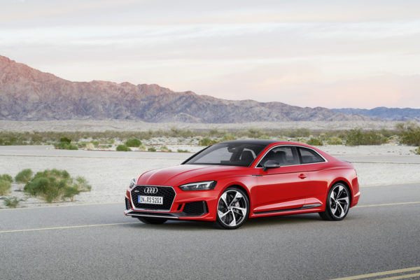 RS5 (8)