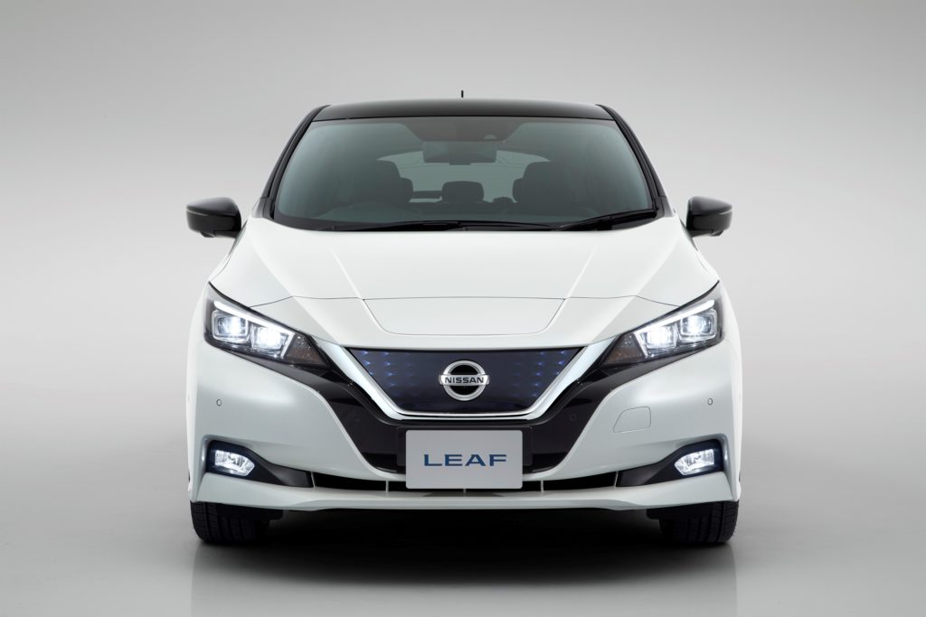 Leaf 2018 (10)