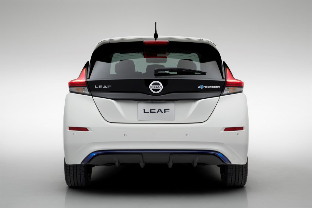 Leaf 2018 (14)
