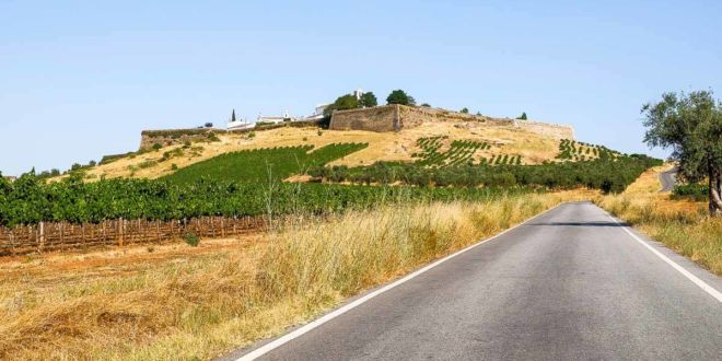 alentejo-estremoz-campos-660×330