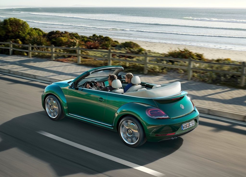 beetle (10)