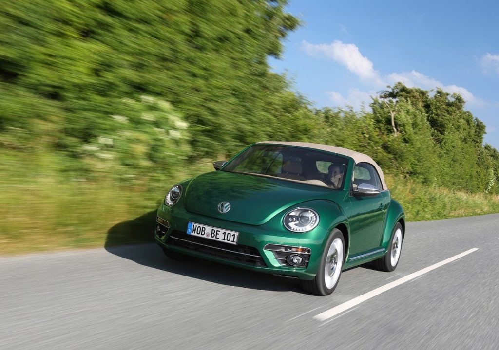 beetle (2)