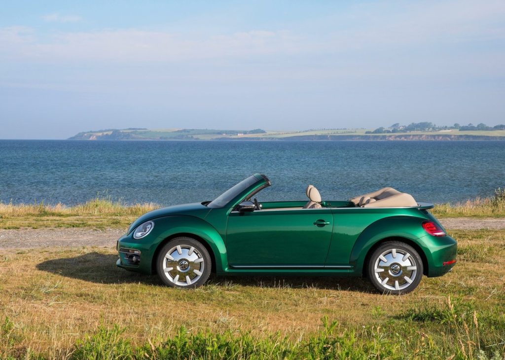 beetle (3)