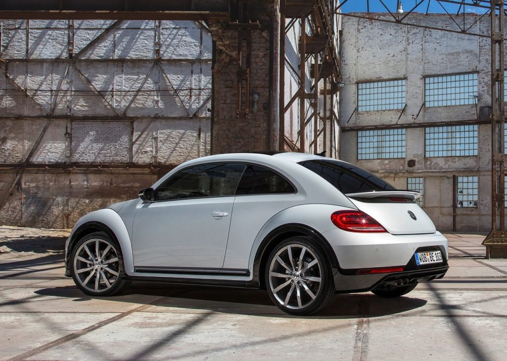 beetle (4)