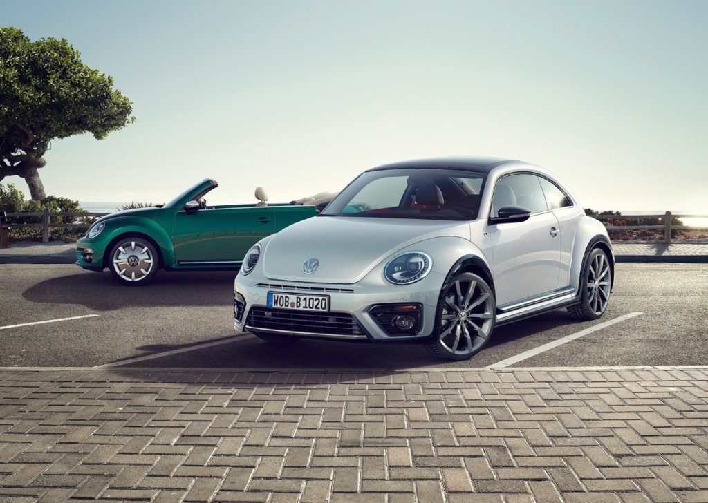 beetle (6)