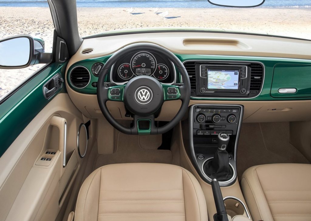 beetle (7)