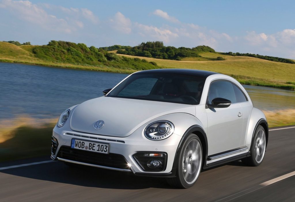 beetle (8)