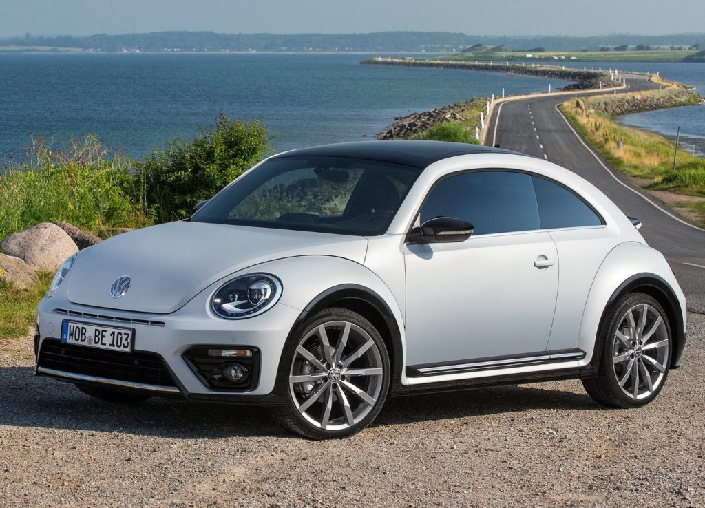 beetle (9)