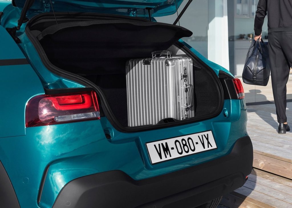 c4 cactus 2018 (1)