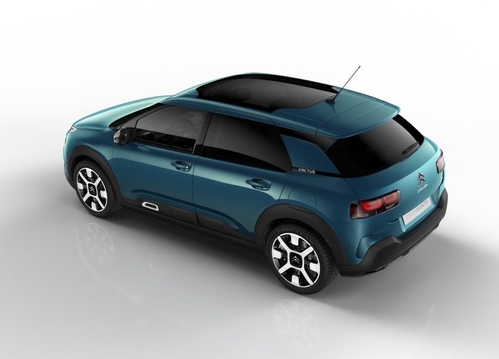 c4 cactus 2018 (2)