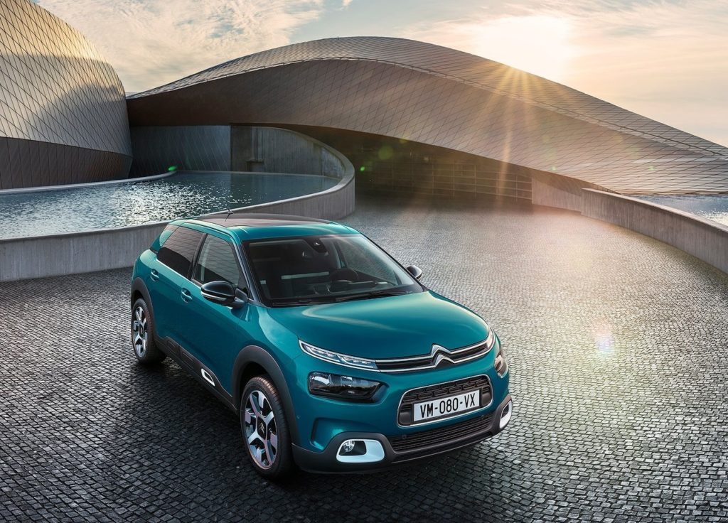 c4 cactus 2018 (3)