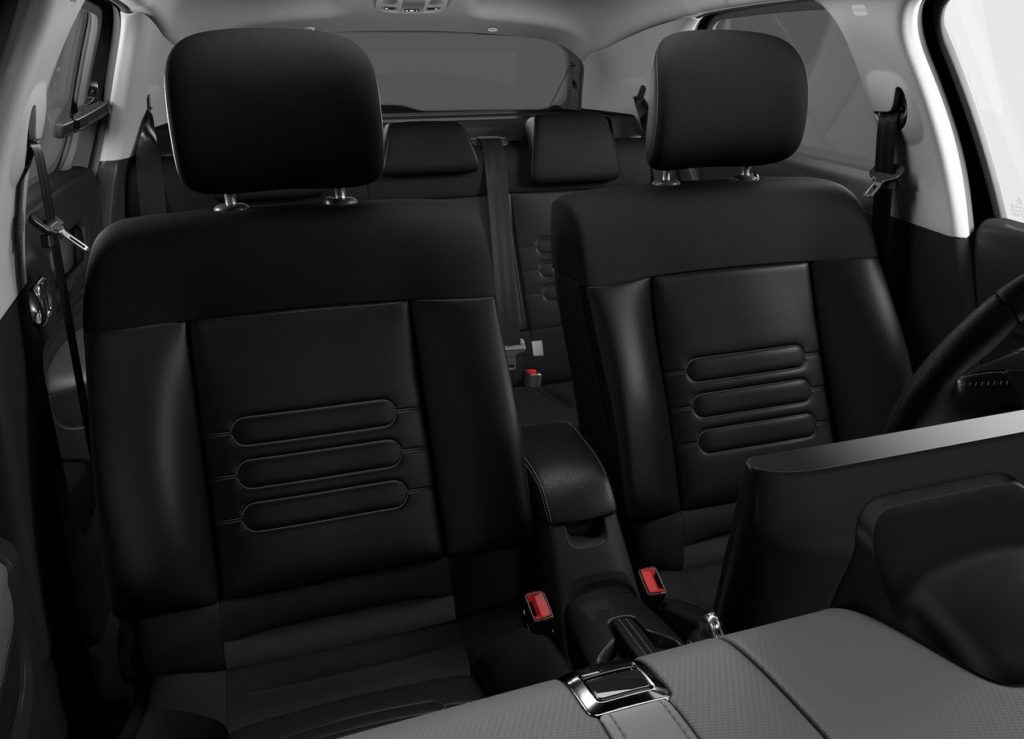 c4 cactus 2018 (4)