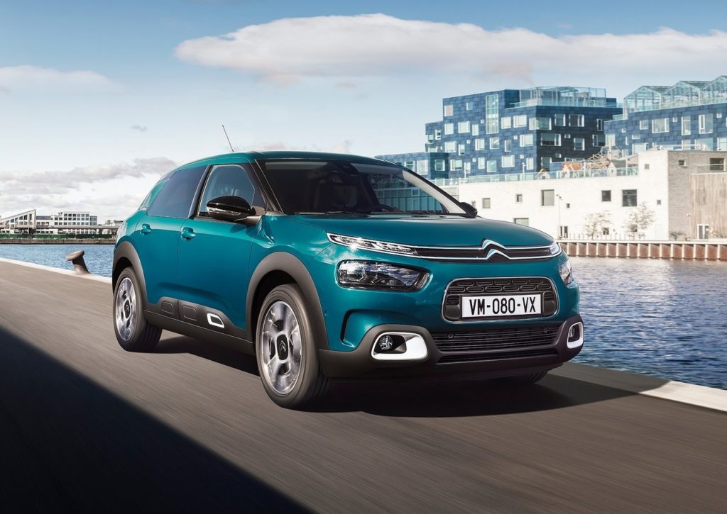 c4 cactus 2018 (5)