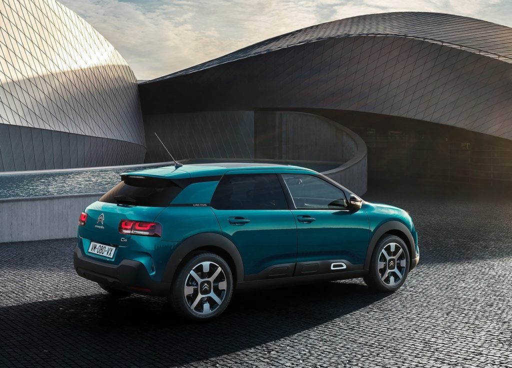 c4 cactus 2018 (6)