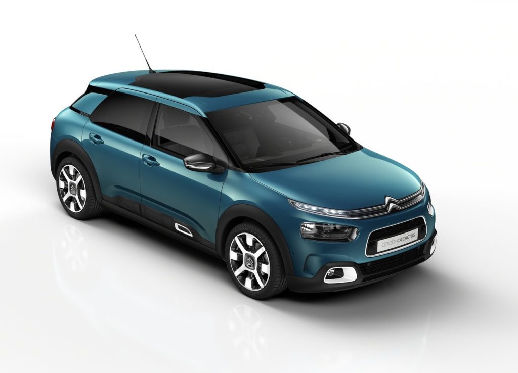 c4 cactus 2018 (7)
