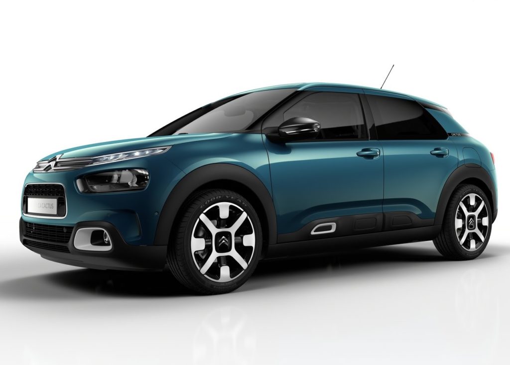 c4 cactus 2018 (8)