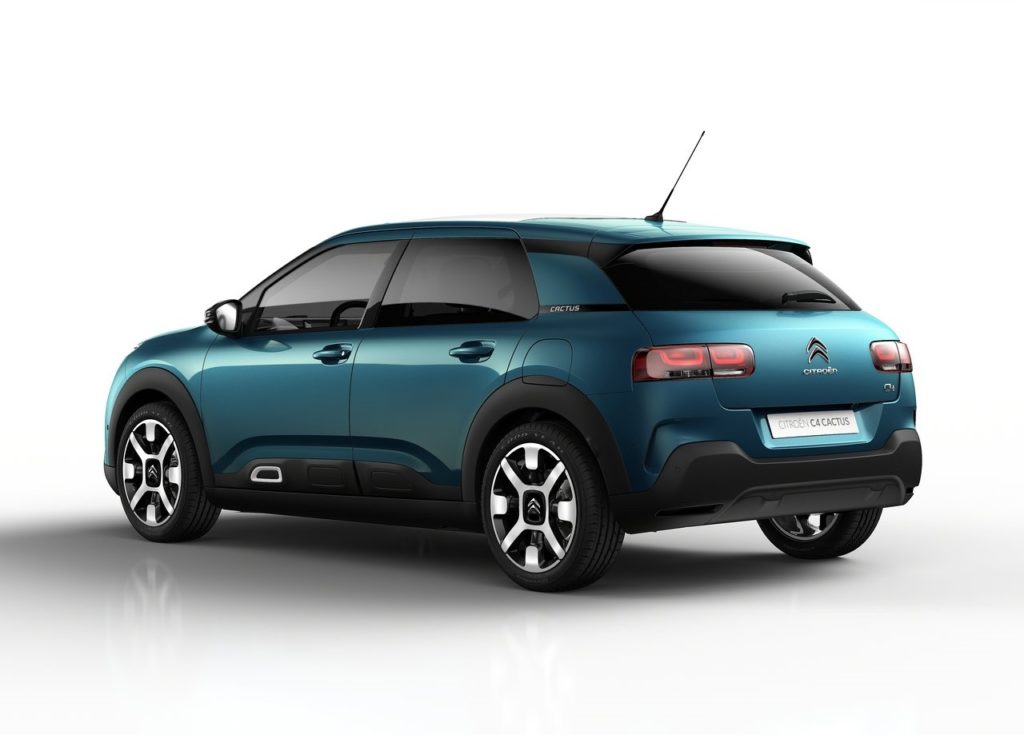 c4 cactus 2018 (9)