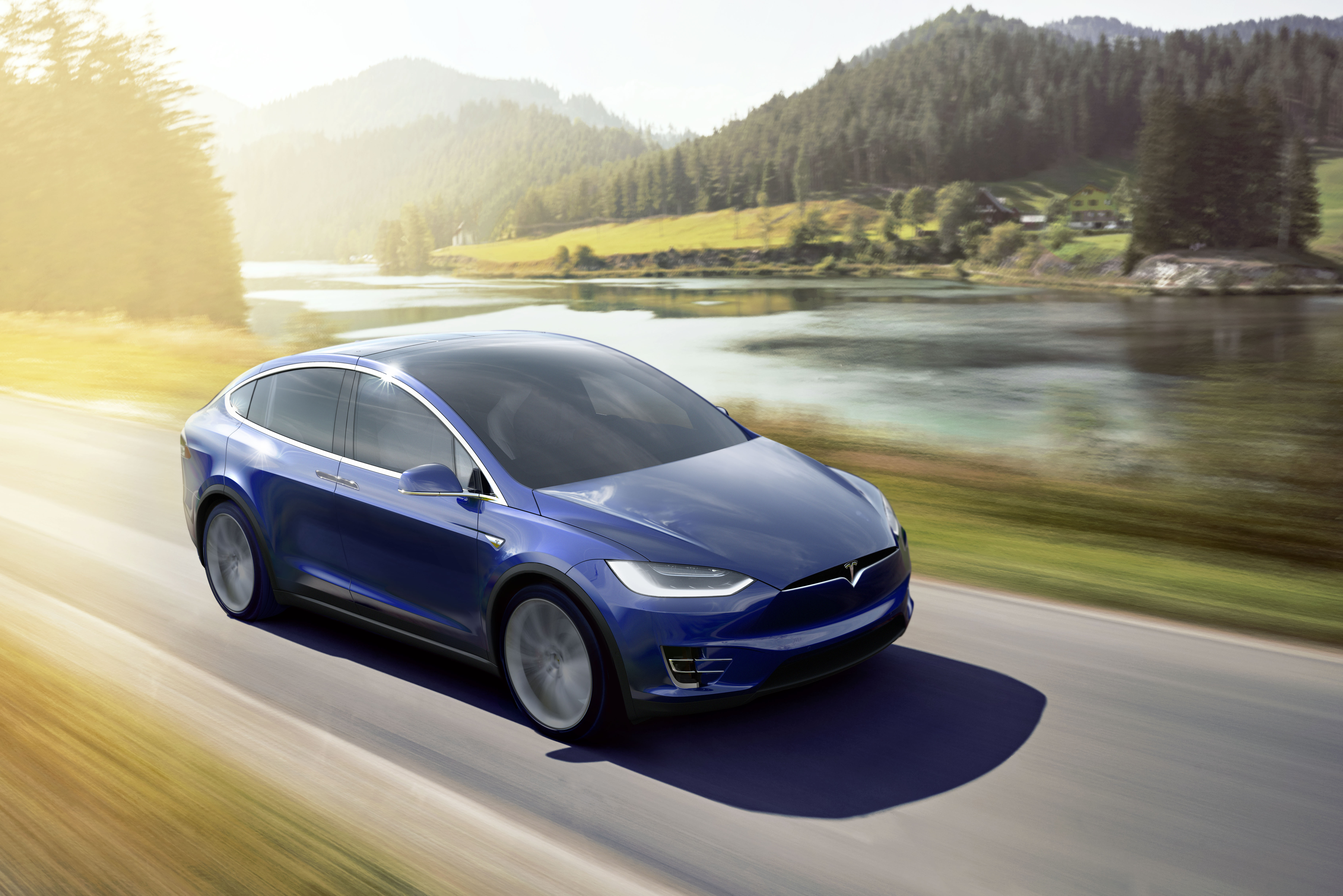 Tesla model x 100d