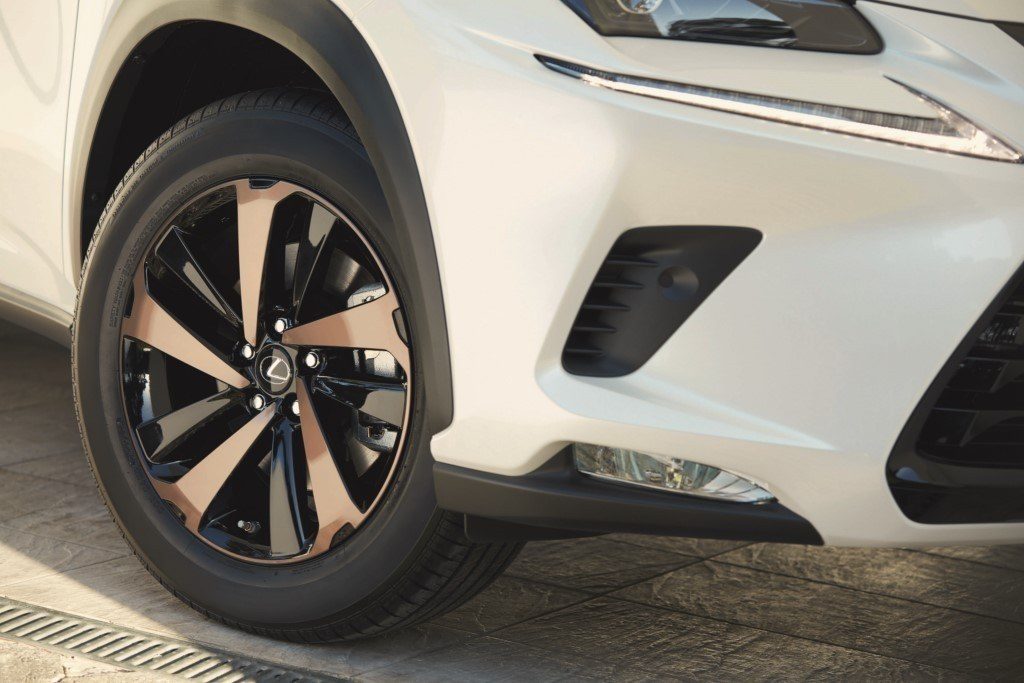 nx sport (4)