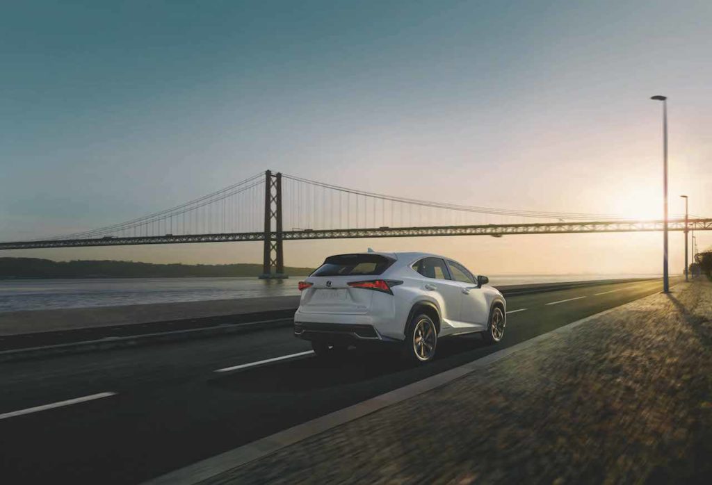 nx sport (9)